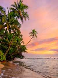 Why Everyone is in love with Kauai🥰