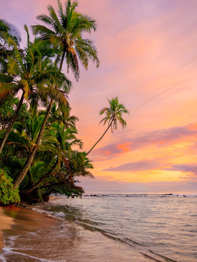 Why Everyone is in love with Kauai🥰