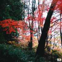 Sakurayama Hachimangu Shrine