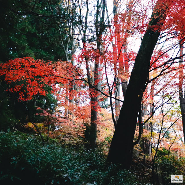Sakurayama Hachimangu Shrine