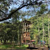 A Serene Escape at Gunung Lang Recreational Park