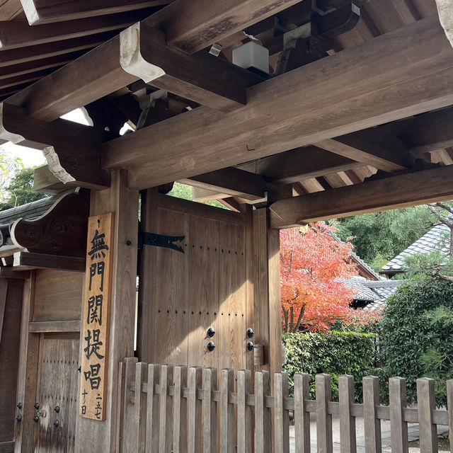 오사카 근교여행지🍁 가을 일본은 단연 교토여행을 빼놓을 수 없어요✨