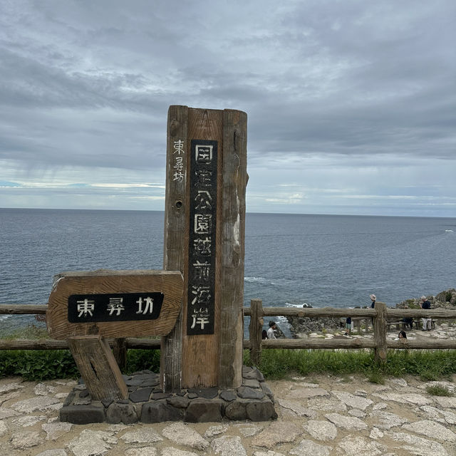 【福井】東尋坊