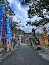 CMで話題となった光の道  3つの日本一がある神社