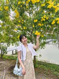 W♡A♤R◇A วาระ คาเฟ่ บ้านแพ้ว