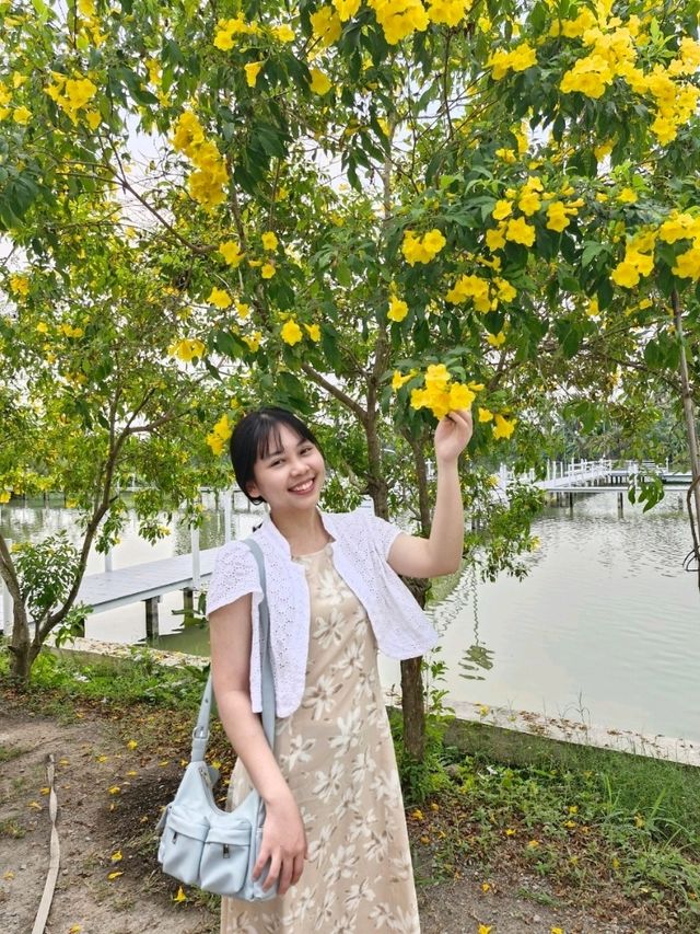 W♡A♤R◇A วาระ คาเฟ่ บ้านแพ้ว