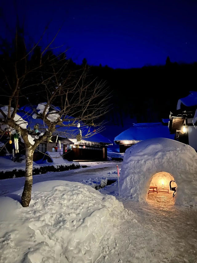 【福島】年末年始はここ行こう!!ここはまさに白銀世界