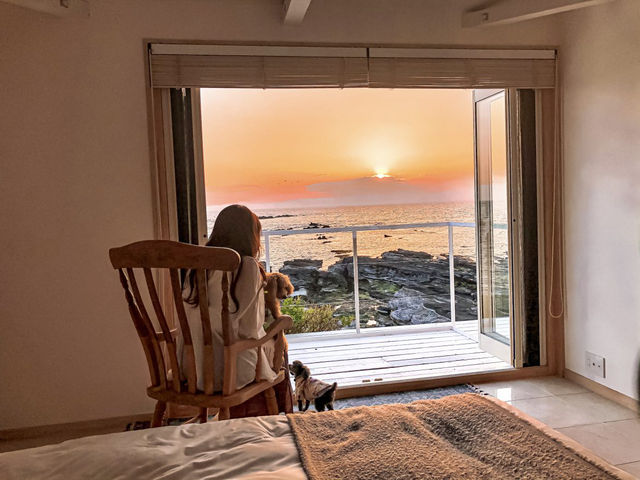 愛犬と泊まれるプライベート邸宅「THE HOUSE MOROISO」