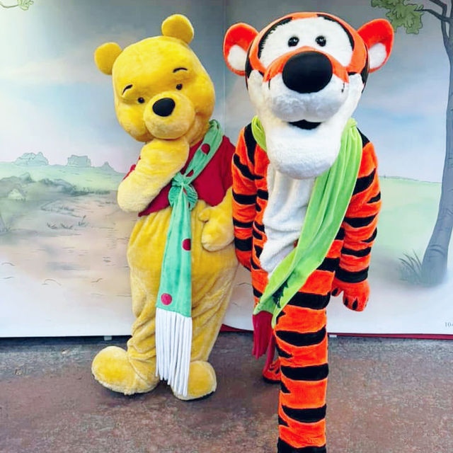 Magical Moments: Top Christmas Character Meet-and-Greets at Disney Orlando 🇺🇸