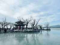 🌸 Explore the Elegance of Summer Palace