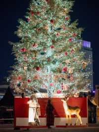 【今年も開催！✨】大人気！横浜赤レンガ倉庫のクリスマスマーケットが楽しすぎる！🎄