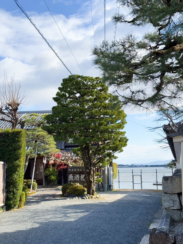 日本景點🇯🇵特式水上佛堂🩵