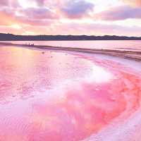 A Pink Paradise: Have You Seen the Stunning Lake Hillier in Perth??