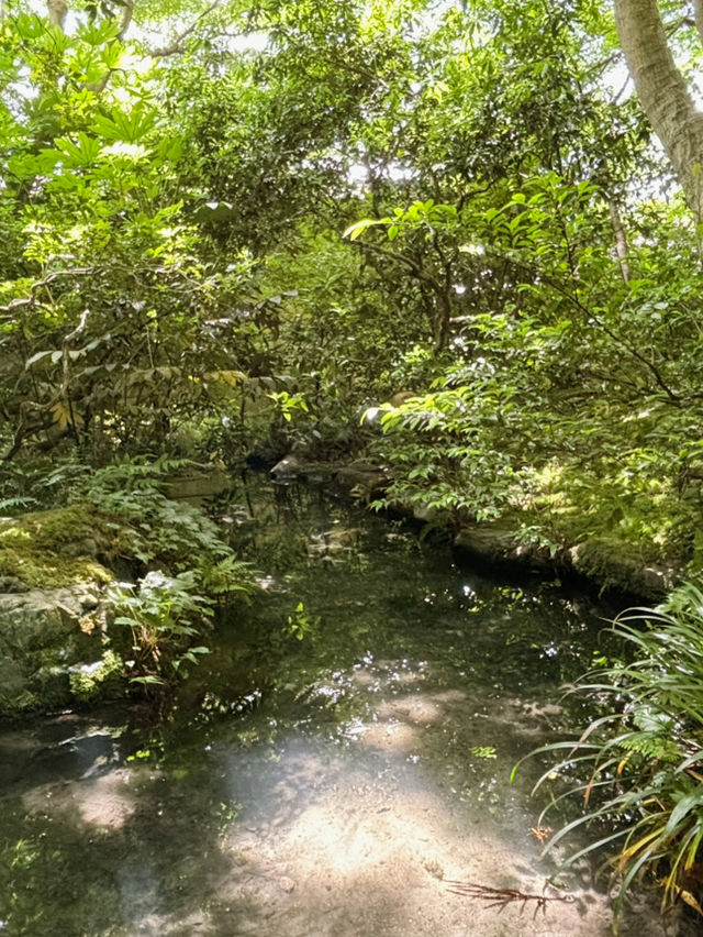 陰雲下的靜謐：探索奈良二月堂的魅力之旅