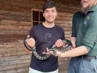 Close Encounters at Caversham Wildlife Park: Kangaroos, Koalas, Wombats and More