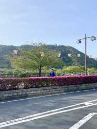 Kintaikyo Bridge: A Wooden Masterpiece