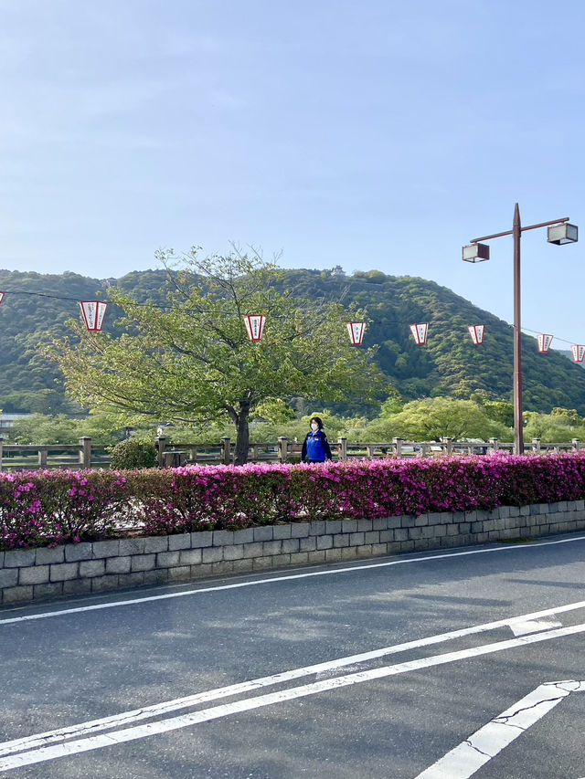 Kintaikyo Bridge: A Wooden Masterpiece