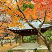 Eikando Temple