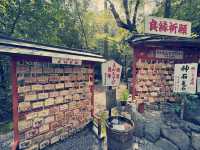 體驗愛與平靜的力量：野宮神社之旅 🌿✨