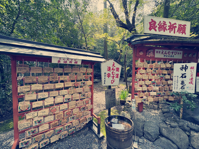 體驗愛與平靜的力量：野宮神社之旅 🌿✨
