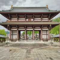 【福井県旅行日記】1泊2日のレンタカー旅