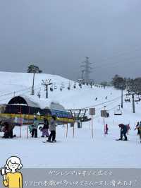 【最高のゲレンデ】西日本最大級のスキー場 ダイナランド