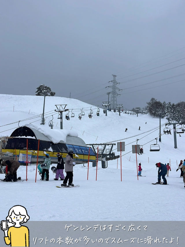 【最高のゲレンデ】西日本最大級のスキー場 ダイナランド