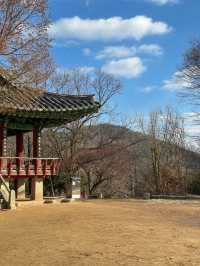 한옥마을을 한 눈에 내려다 볼 수 있는 곳