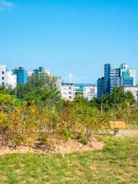 부산의 새로운 모모스커피 도모헌점🏡☕️