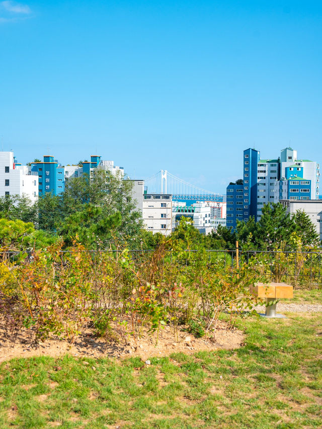 부산의 새로운 모모스커피 도모헌점🏡☕️
