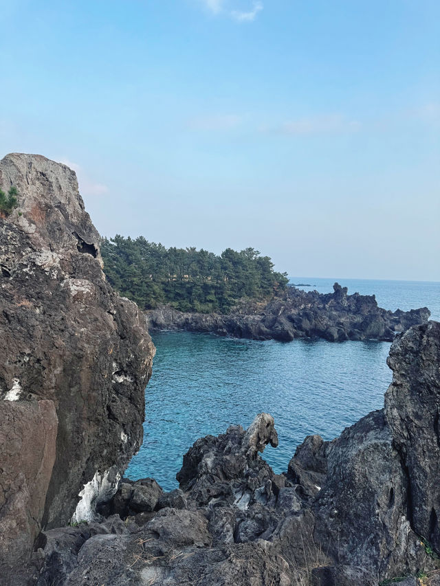   🇰🇷제주여행 자연에 감동할 수 밖에 없는 아름다운 주상절리대🌊🪨