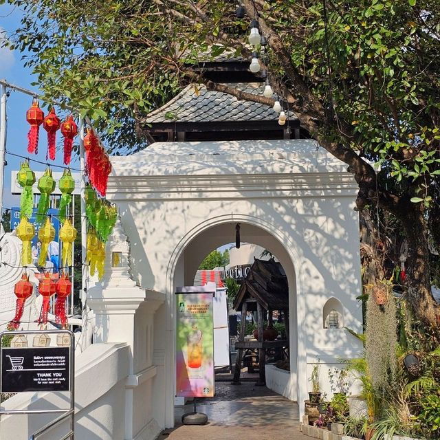 จิบกาแฟสตาบัคที่สวยที่สุดในเชียงใหม่