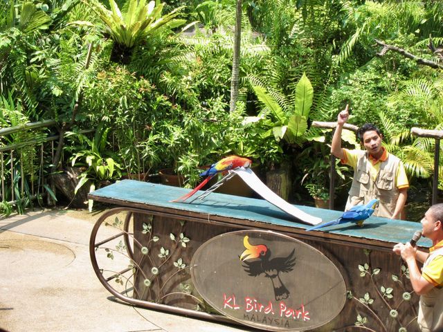 Feathers, Fun, and Nature: Discover the Magic of KL Bird Park