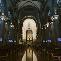  A Glimpse of Manila Cathedral
