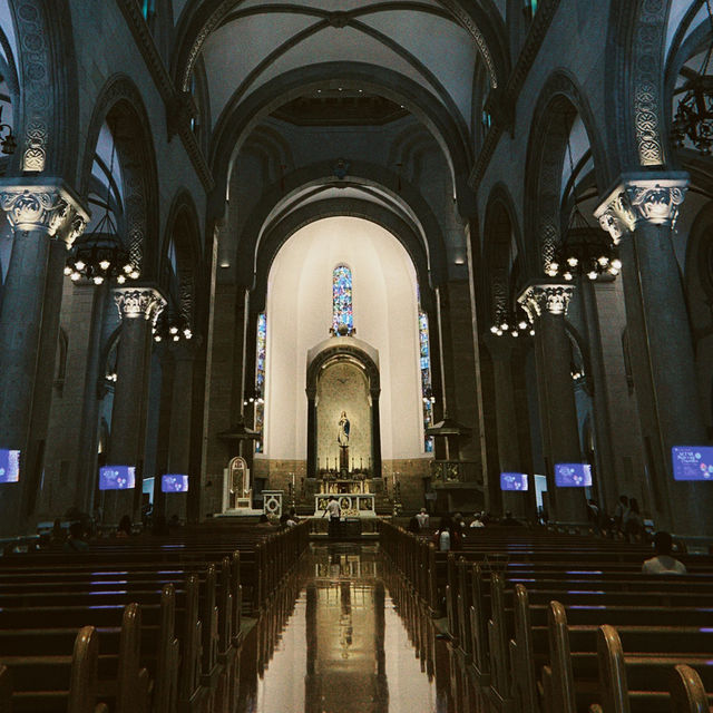  A Glimpse of Manila Cathedral