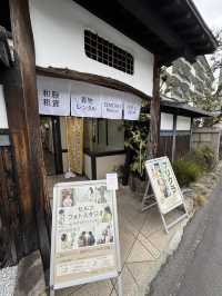 Kimono rental experience in Kyoto 🇯🇵