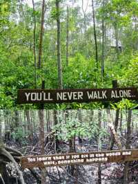 Discover Johor’s Hidden Mangrove Wonderland: Pulau Kukup