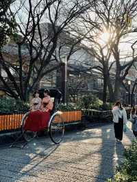 A Glimpse of Kyoto: Tranquility and Tradition in Arashiyama