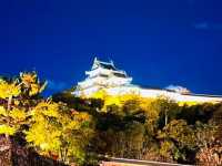 ปราสาทวากายามะ (Wakayama Castle)