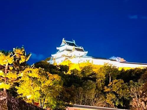 ปราสาทวากายามะ (Wakayama Castle)