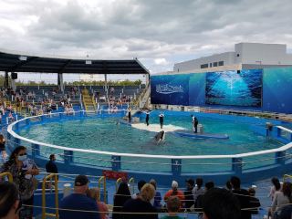 Miami Seaquarium