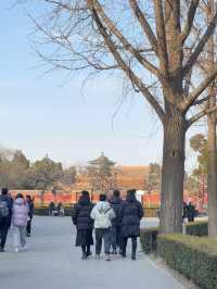Jinshan Park🌳🏰