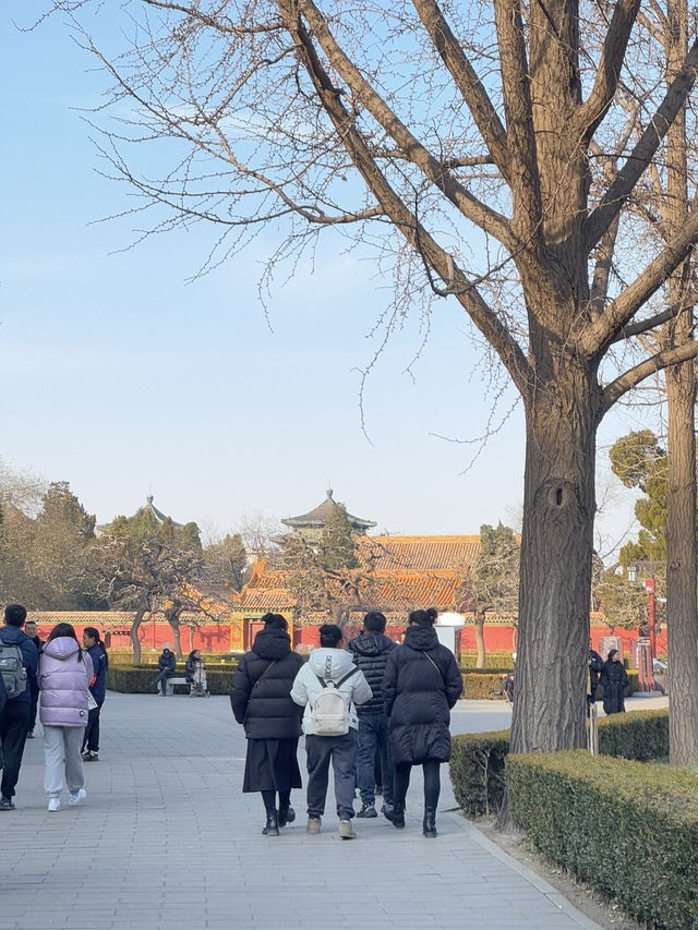Jinshan Park🌳🏰