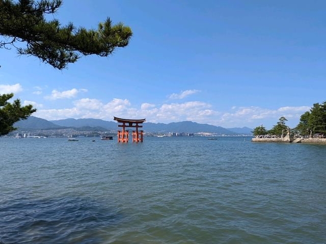 Miyajima Trip Highlights