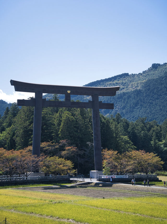【和歌山】一生に一度は行くべき‼️熊野本宮大社で神聖なパワーをチャージしよう💪