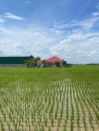 A scenic escape to Sekinchan