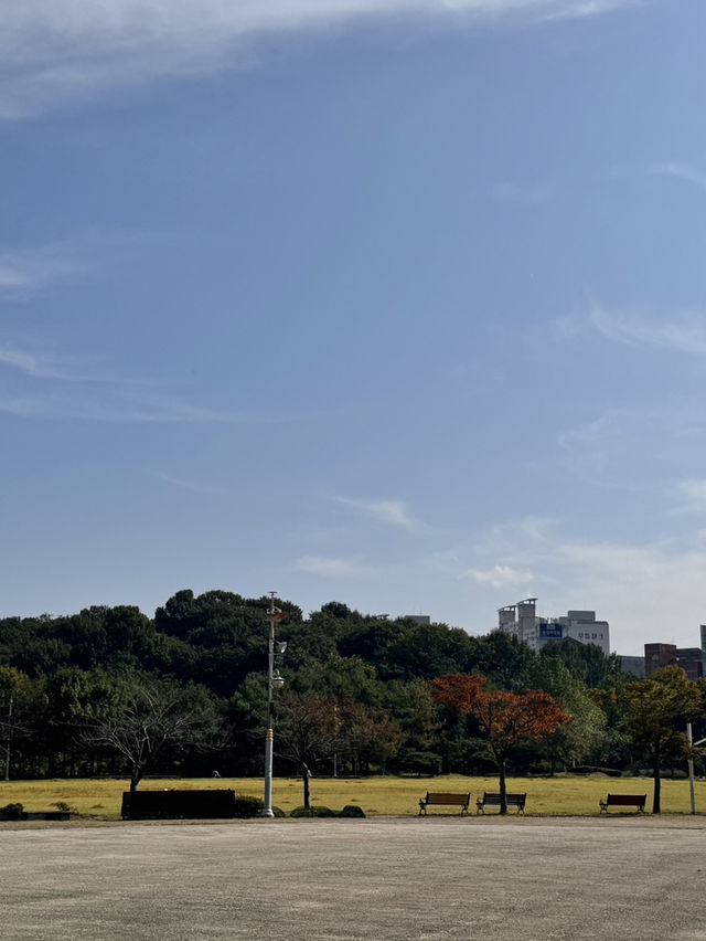광주 서구 산책하기 좋은 예쁜 공원, 풍암생활체육공원