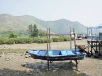 Beyond the Village: A Scenic Escape Around Tai O