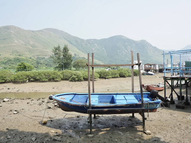Beyond the Village: A Scenic Escape Around Tai O