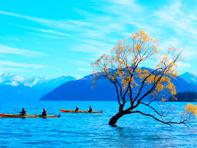 Lake Wanaka นิวซีแลนด์